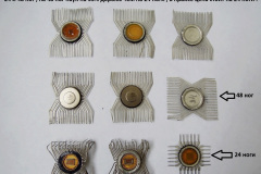 Белый-паук-К145-К586