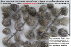 Расклад-по-реохордам