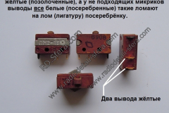 Микрик-ПМ2-1В