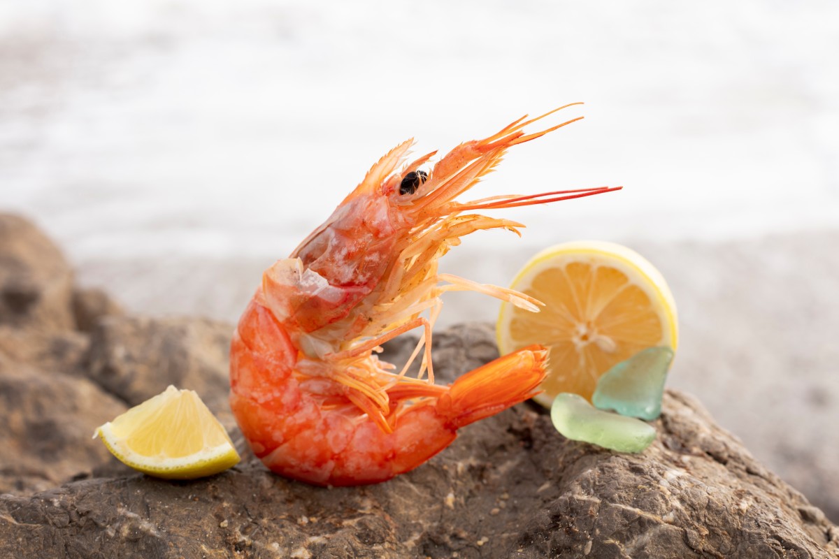 Подробнее о статье Aliquet et iaculis et viverra vitae ligula